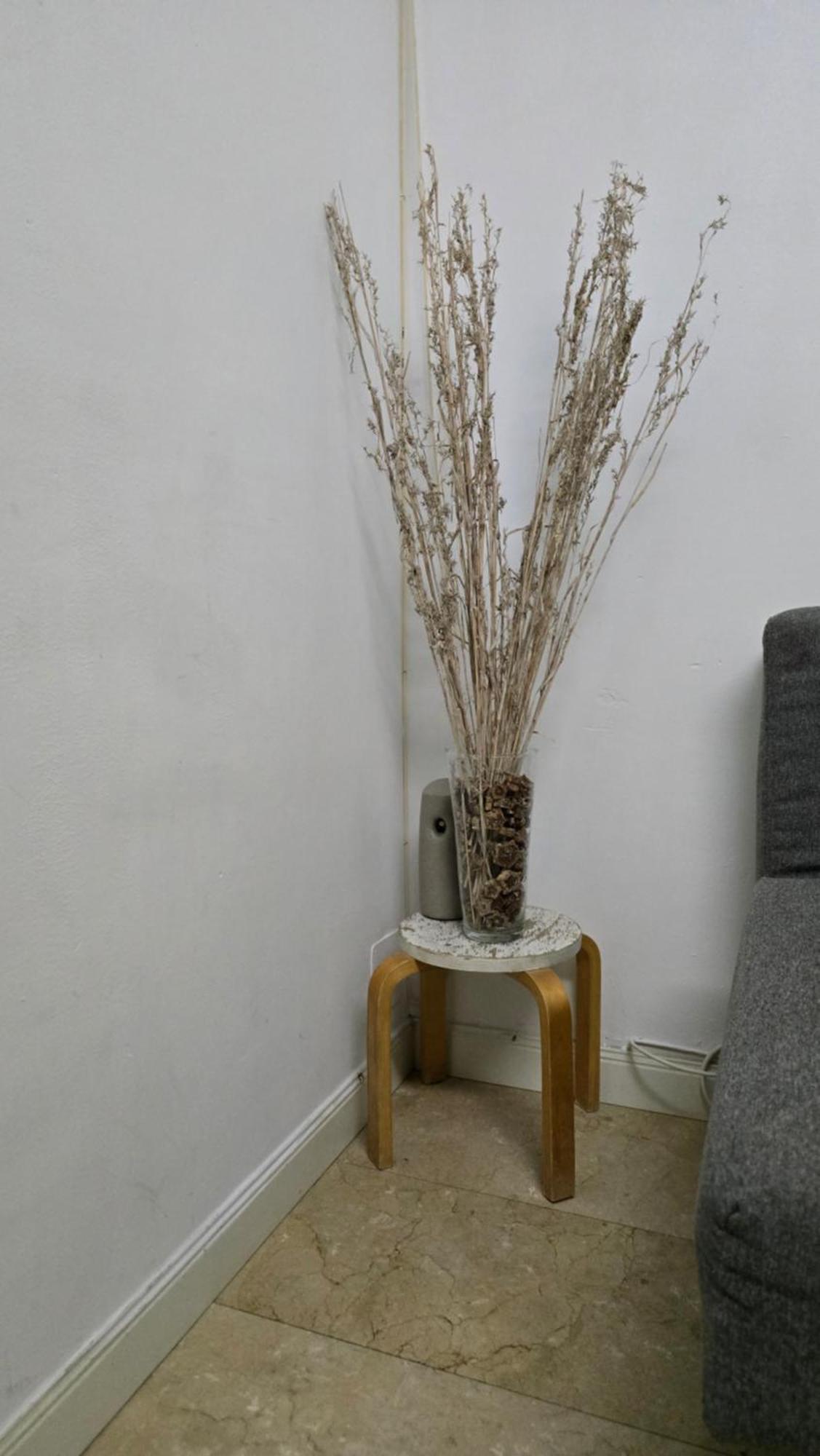 Mini Apartamento Lovely Chueca มาดริด ภายนอก รูปภาพ
